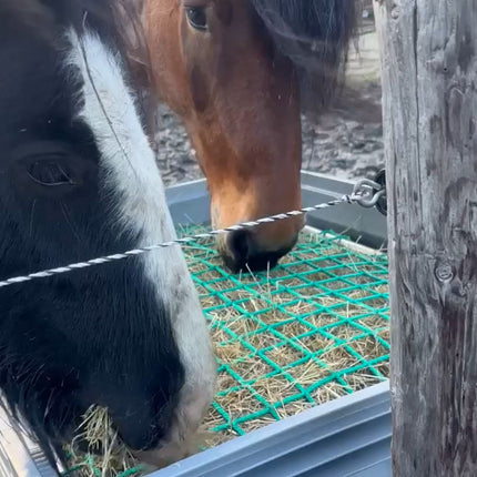 Twee paarden eten uit slowfeeder XXL