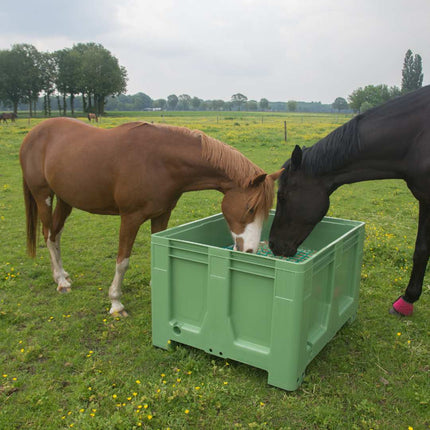 Twee paarden eten uit groene slowfeeder xxl