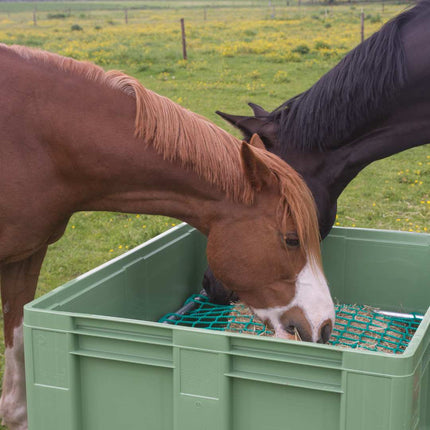 paarden eten uit slowfeeder xxl ingezoomde foto