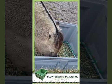 video van paard die eet uit slowfeeder xxl